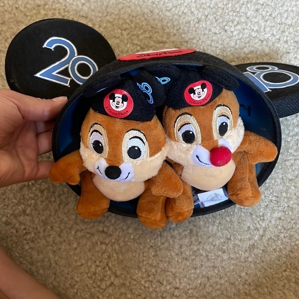 Disney hat and stuffed animals​​​​​​​​​